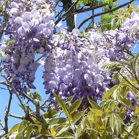 D'hotes De Massigoux